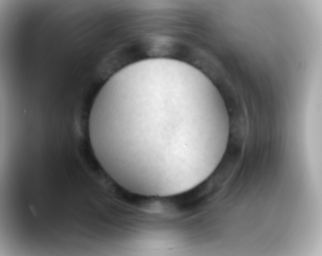 X0000088490755200706051418