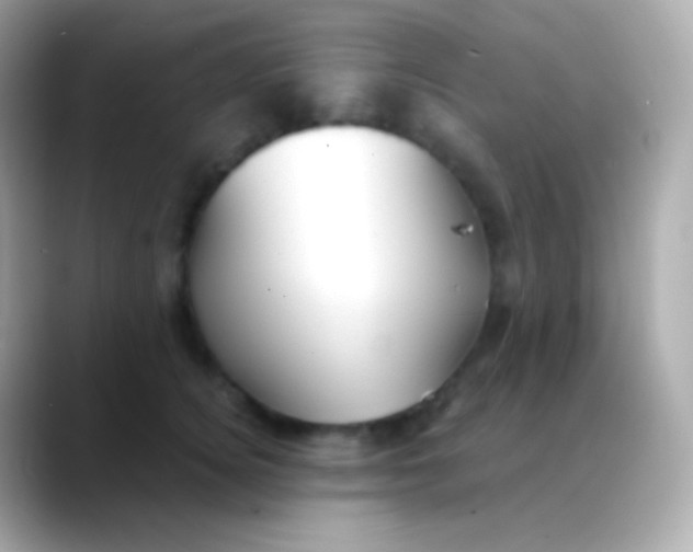 X0000088490756200706051418