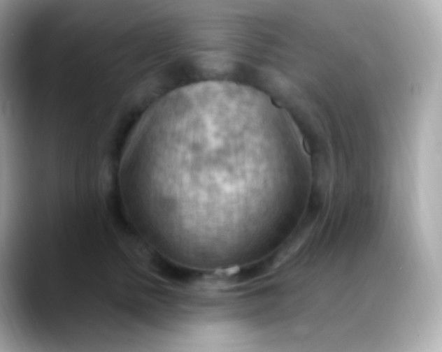 X0000088490758200706051418