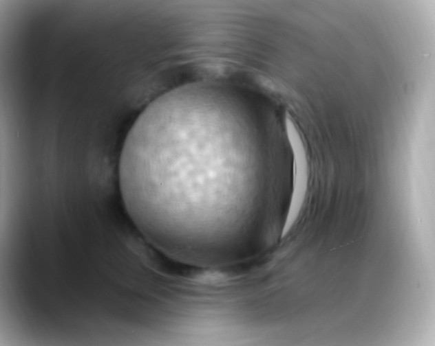 X0000088490759200706051418