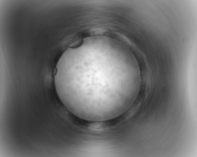 X0000088490761200706051418