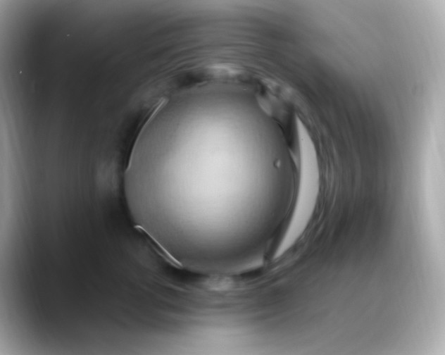 X0000088490762200706051418