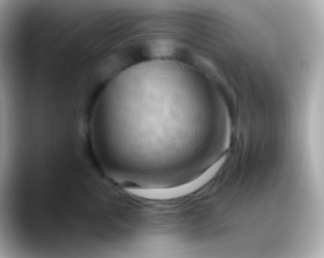 X0000088490763200706051418