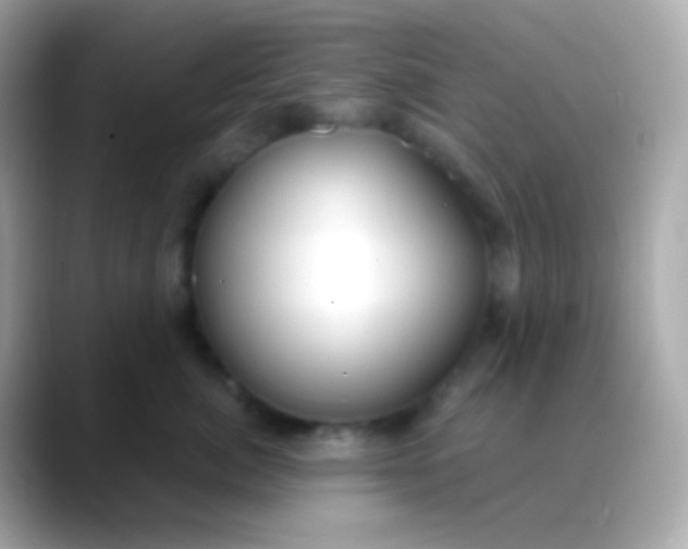 X0000088490764200706051418