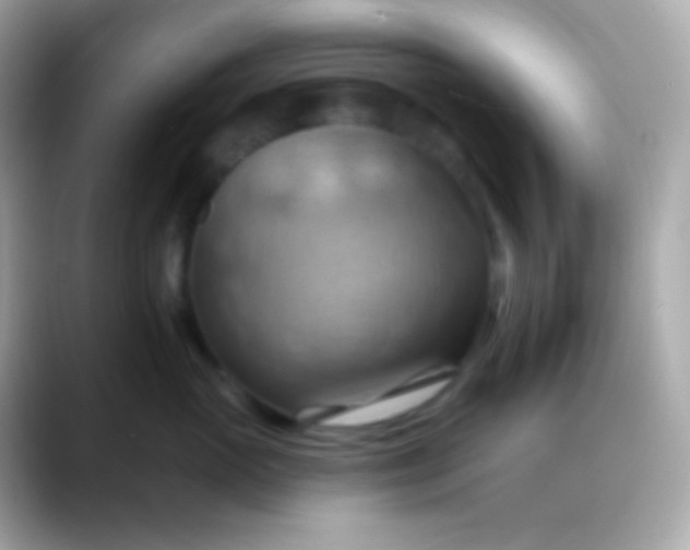 X0000088490765200706051418