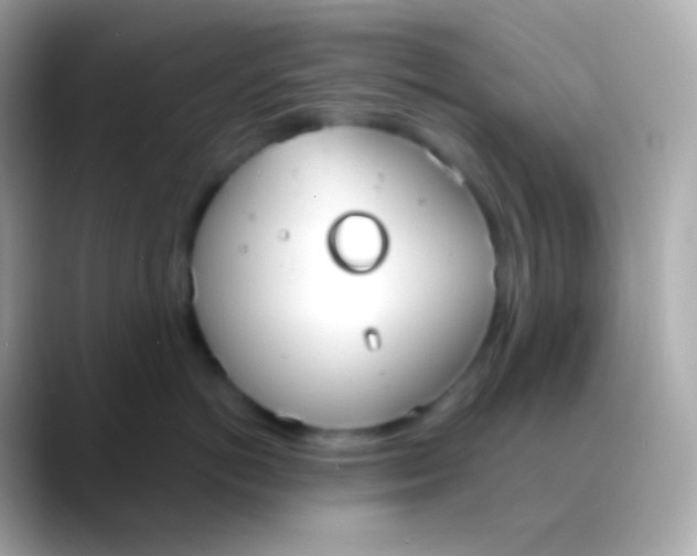 X0000088490766200706051418