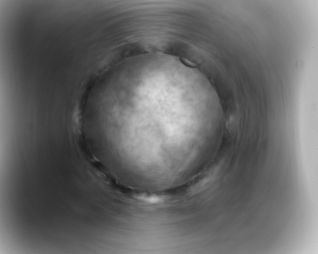 X0000088490772200706051417