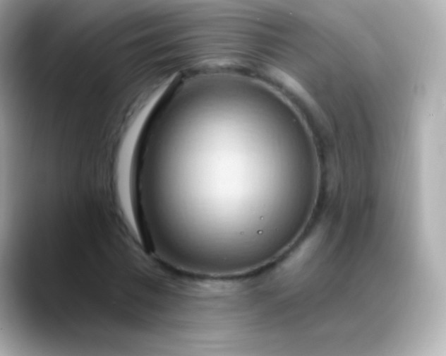 X0000088490777200706051417