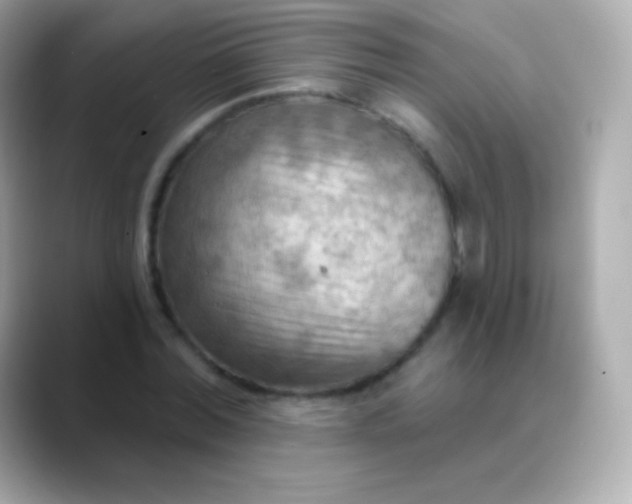 X0000088490780200706051417