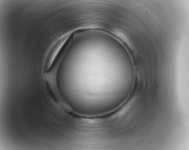 X0000088490781200706051417