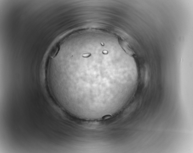 X0000088490784200706051417