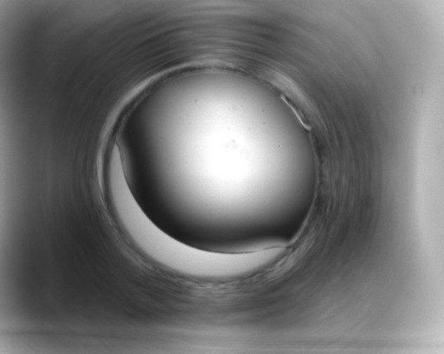 X0000088490788200706051417