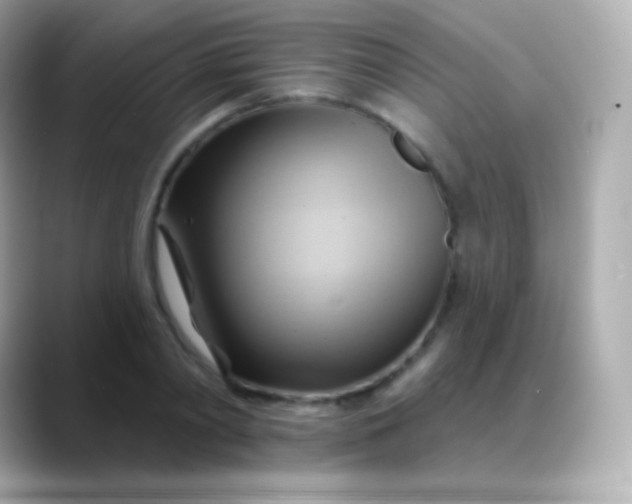 X0000088490790200706051417