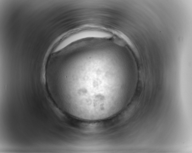 X0000088490791200706051417