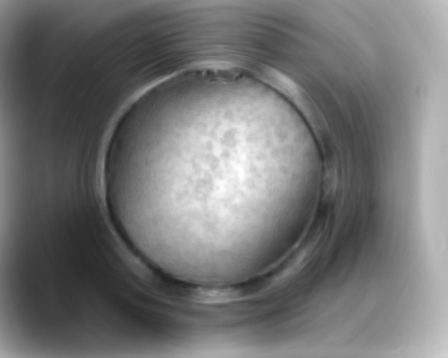 X0000088490795200706051417