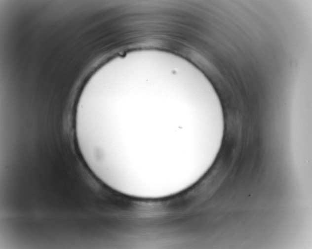 X0000088490800200706051417