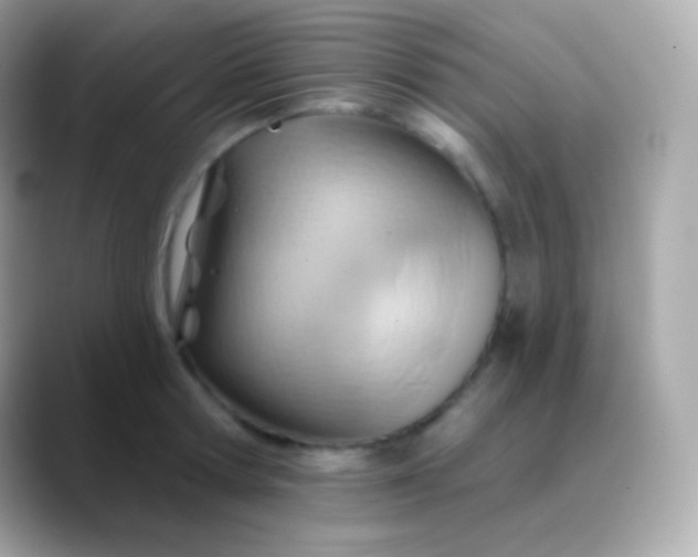 X0000088490802200706051417