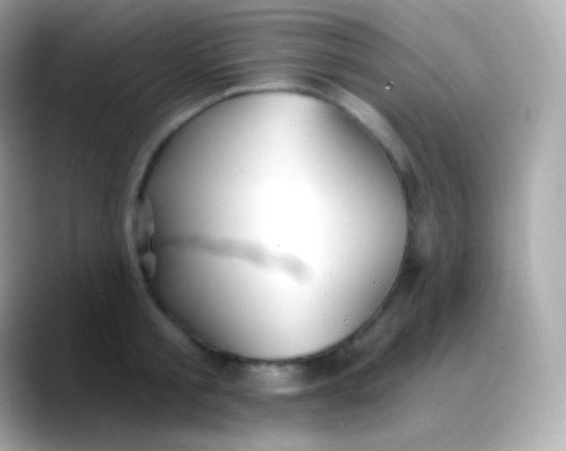 X0000088490805200706051417