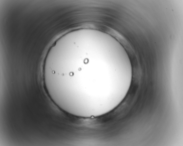 X0000088490808200706051417