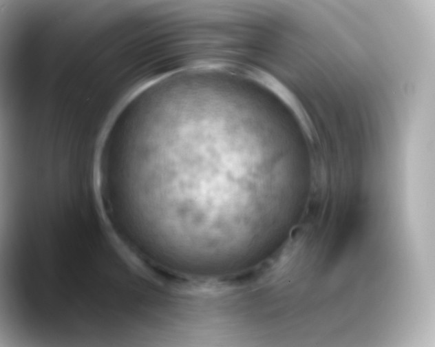 X0000088490811200706051417