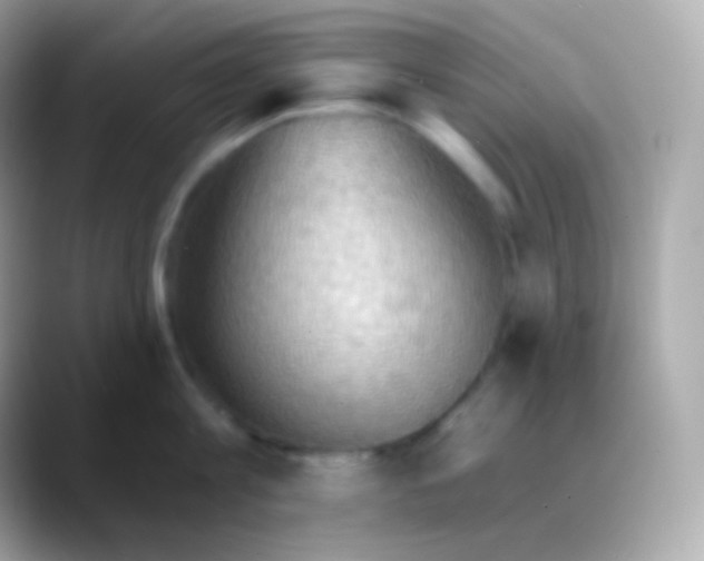 X0000088490813200706051417