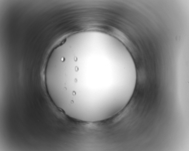 X0000088490814200706051417