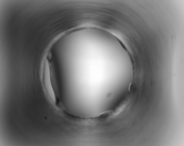 X0000088490815200706051417