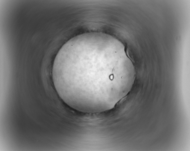 X0000088490817200706051416