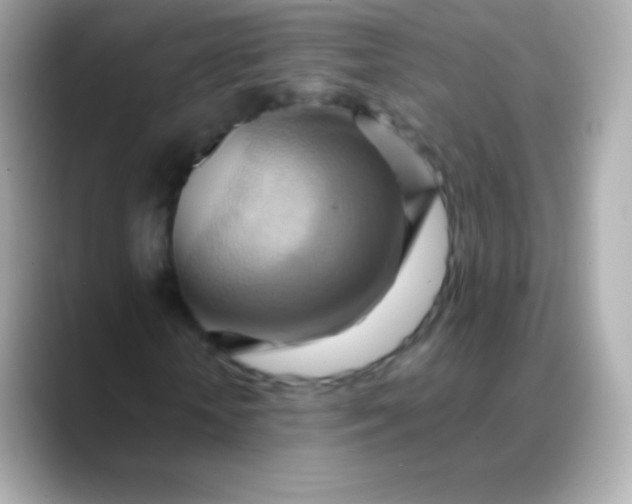 X0000088490818200706051416