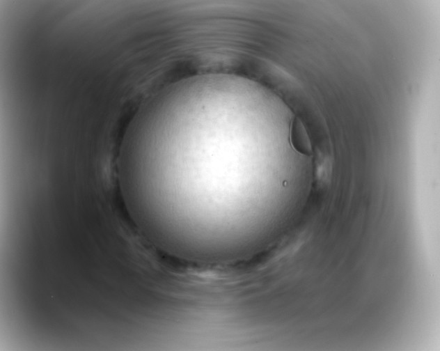 X0000088490819200706051416