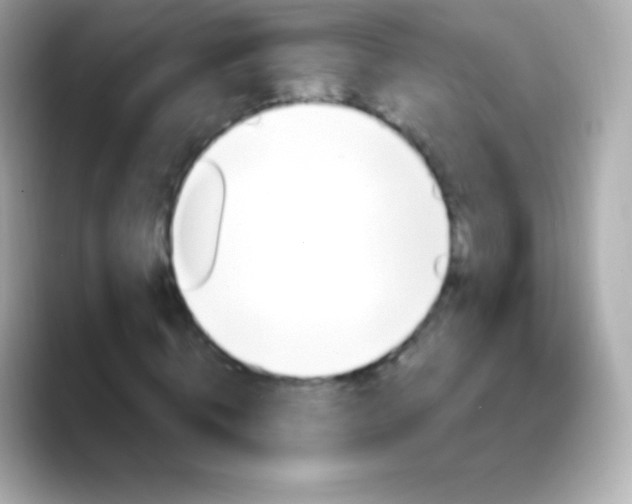 X0000088490820200706051416