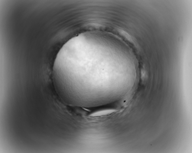 X0000088490822200706051416