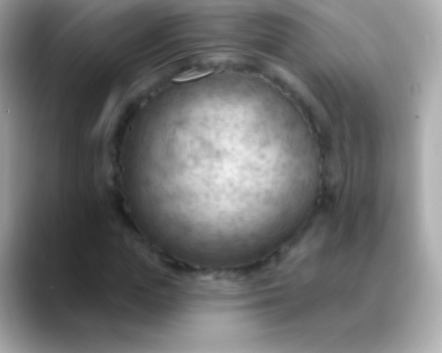 X0000088490823200706051416