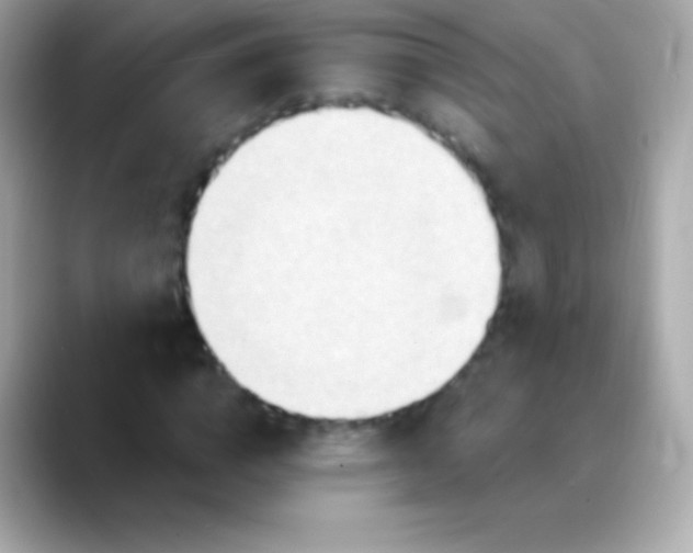 X0000088490824200706051416