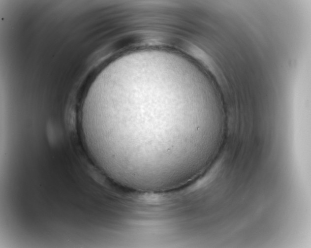 X0000088490827200706051416