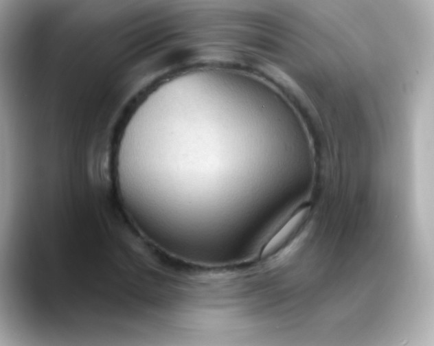 X0000088490830200706051417