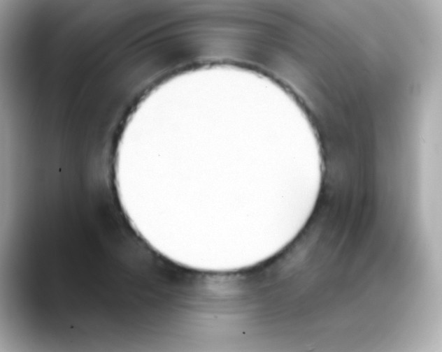 X0000088490832200706051417