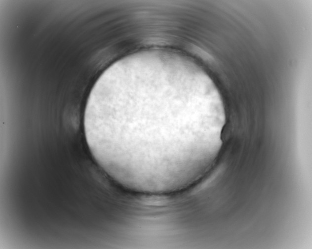 X0000088490833200706051417