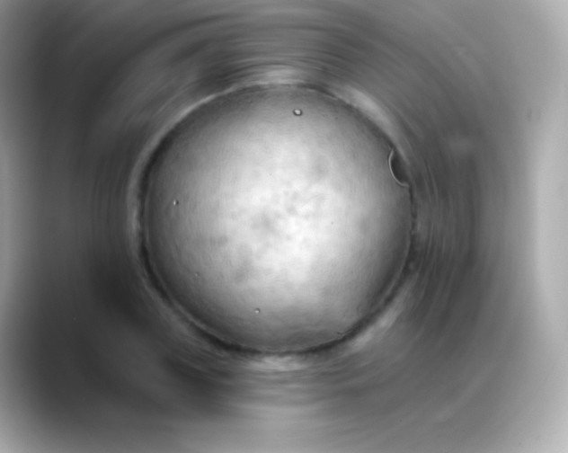 X0000088490835200706051417