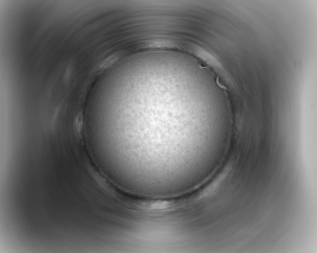 X0000088490841200706051417