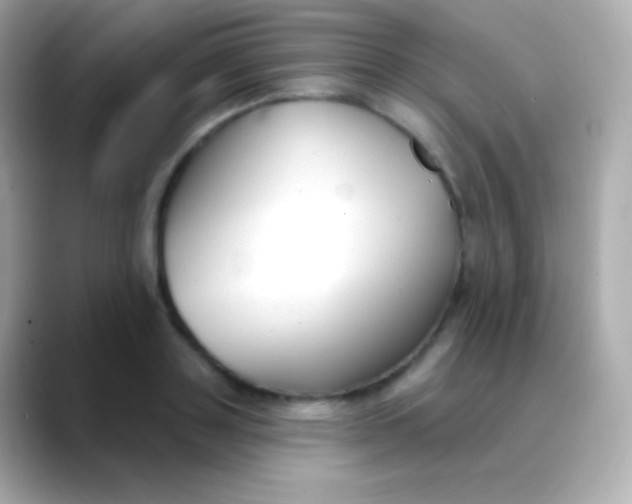 X0000088490843200706051417