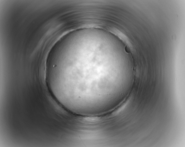 X0000088490844200706051417