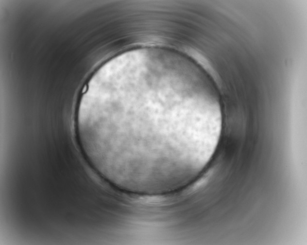 X0000088490845200706051417