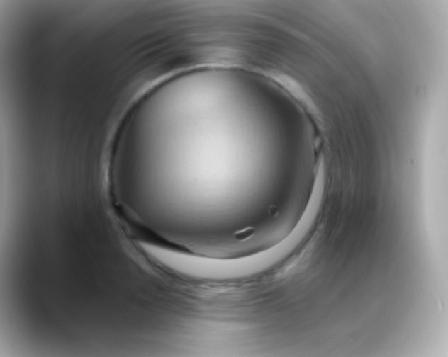 X0000088490846200706051417