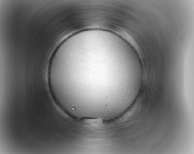 X0000088490847200706051417