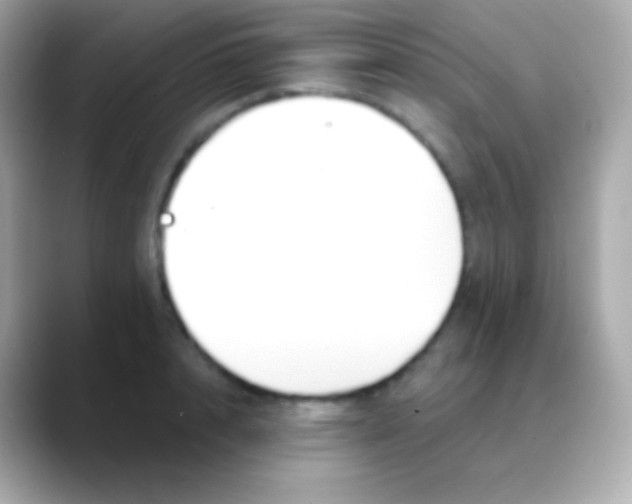 X0000088490848200706051417