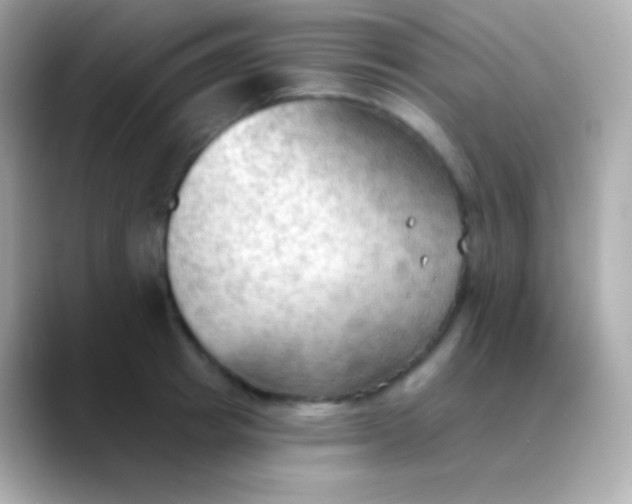 X0000088490849200706051417