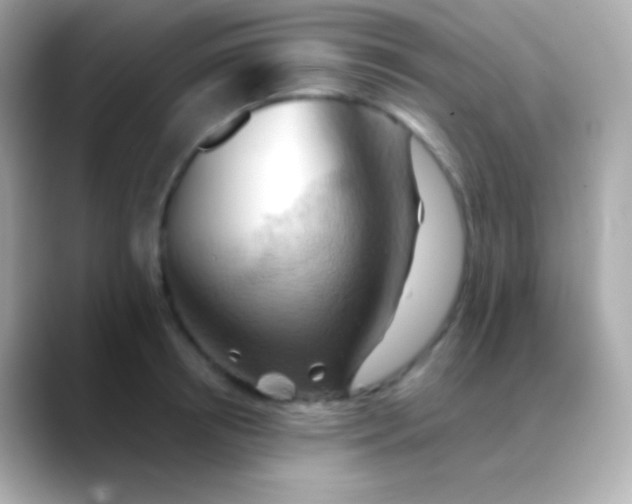 X0000088490850200706051417