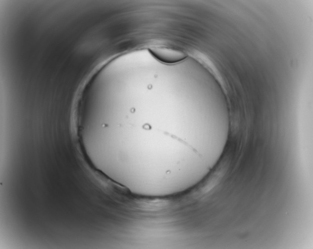 X0000088490851200706051417