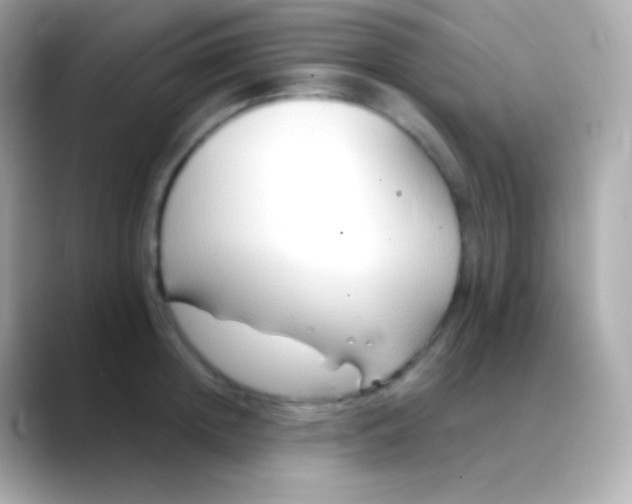 X0000088490852200706051417